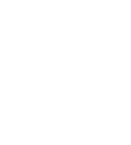 TSIT Logo